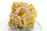 Lustrous, Yellow Wulfenite and Mimetite - La Morita Mine, Mexico #237089-1